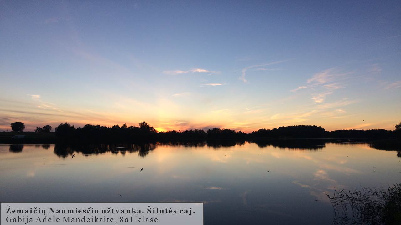 Skaidrė10