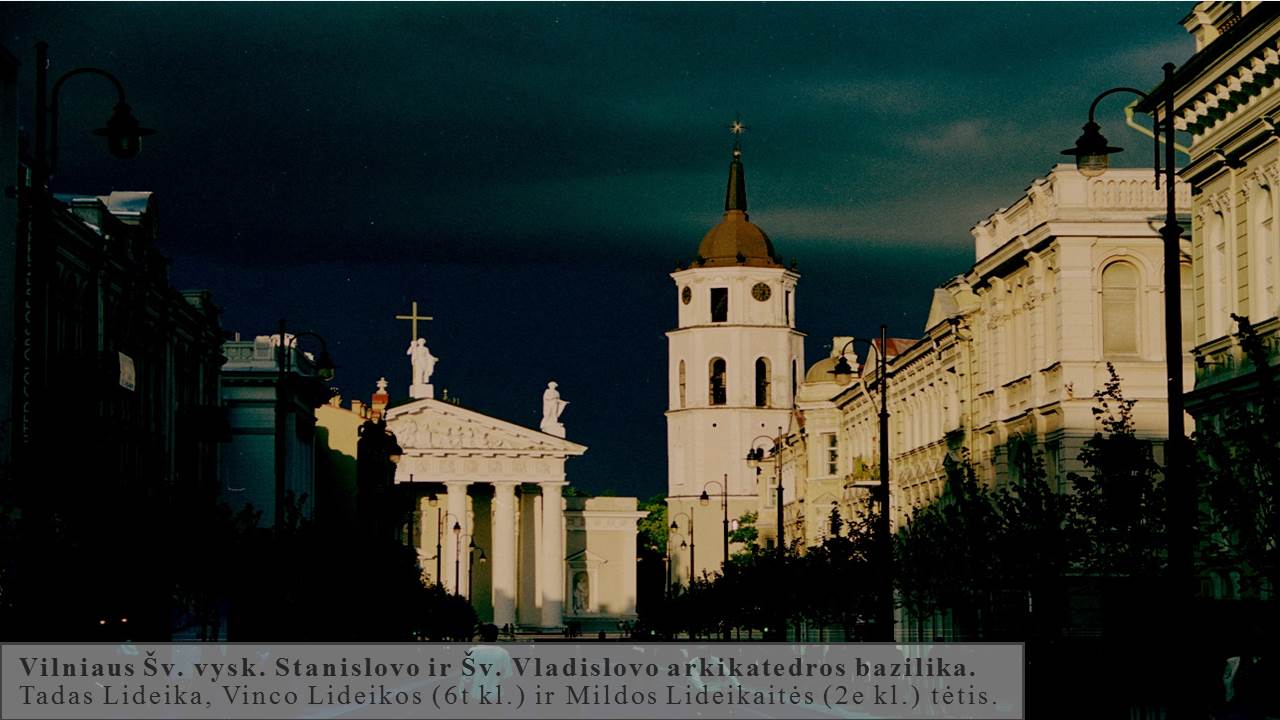 Skaidrė12