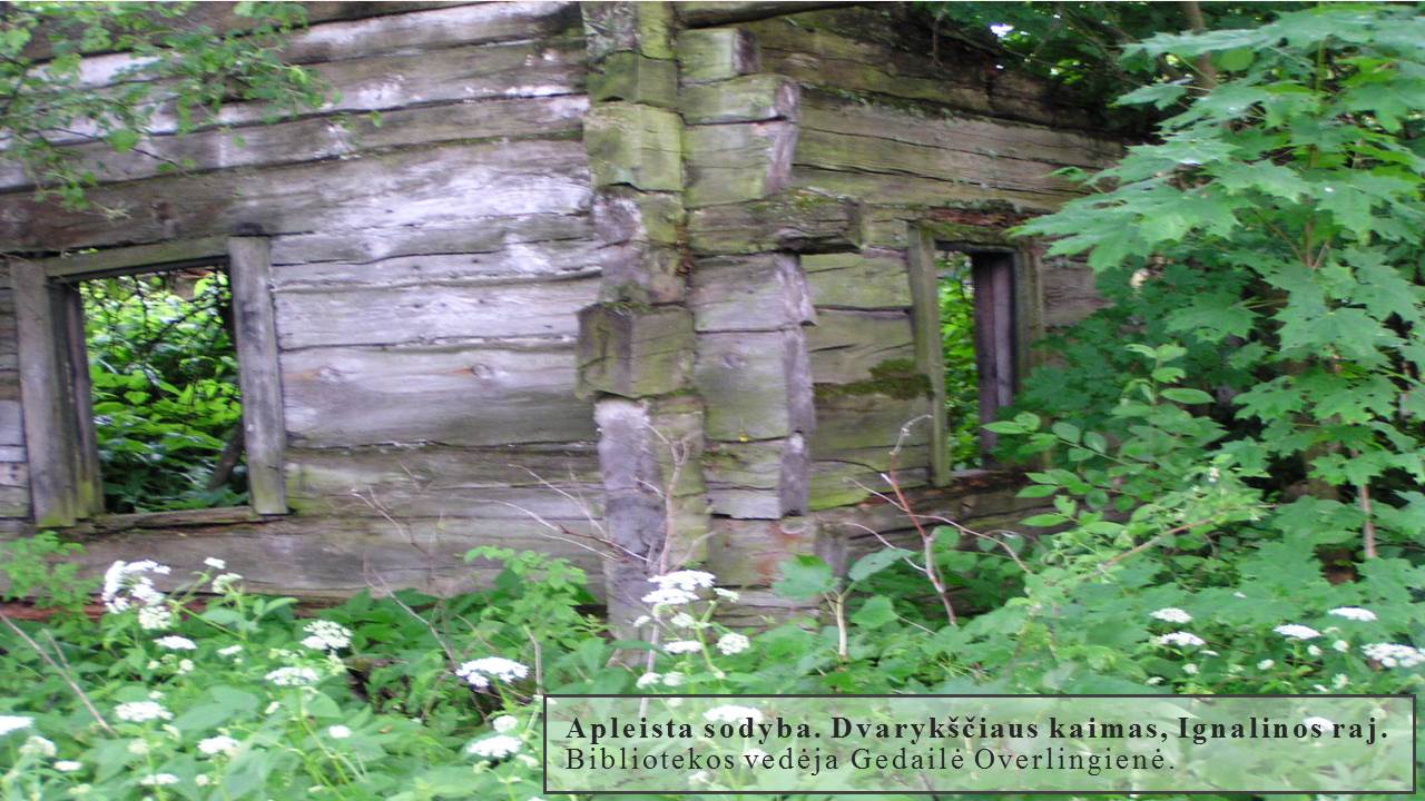 Skaidrė120
