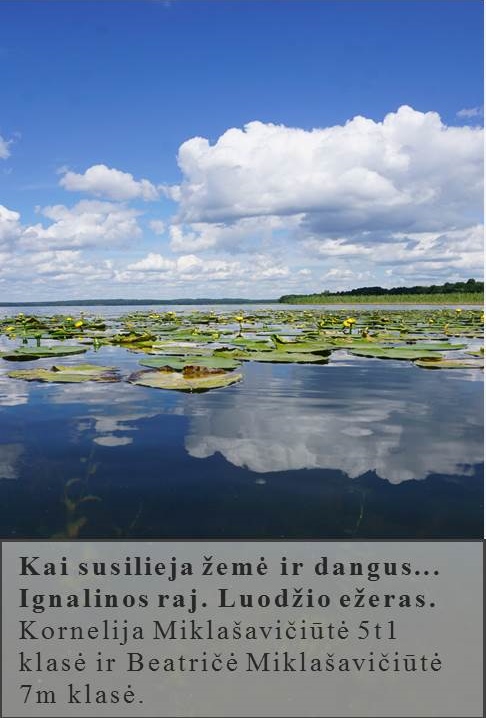 Skaidrė129