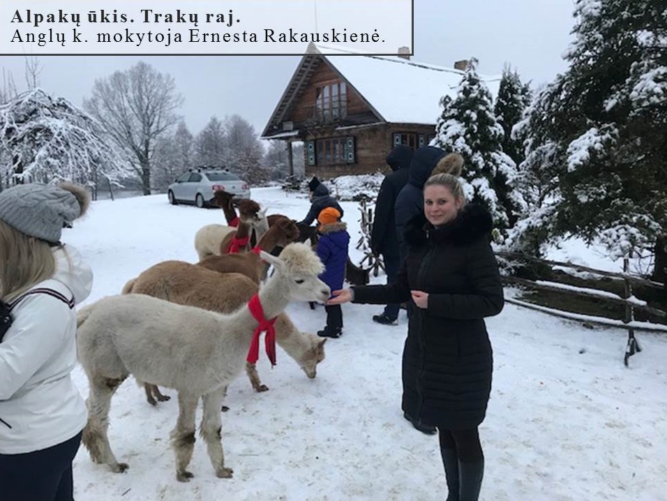 Skaidrė130