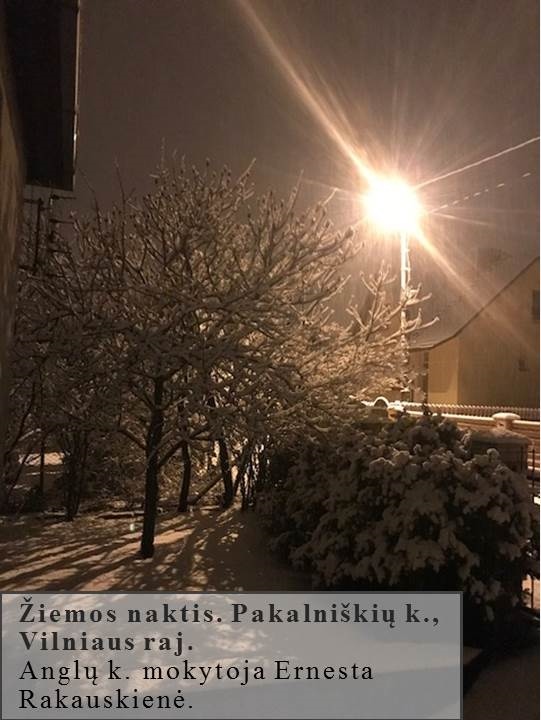 Skaidrė139