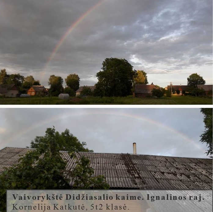 Skaidrė14