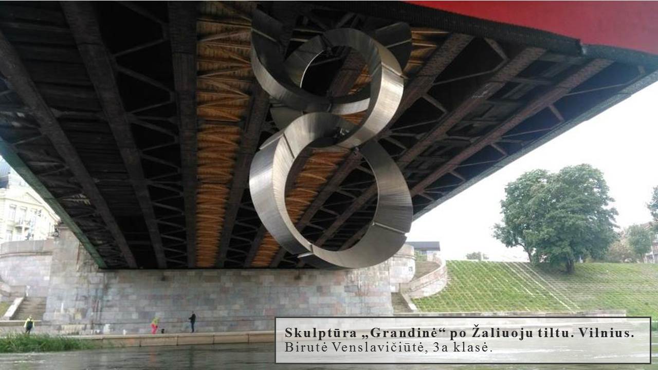 Skaidrė16