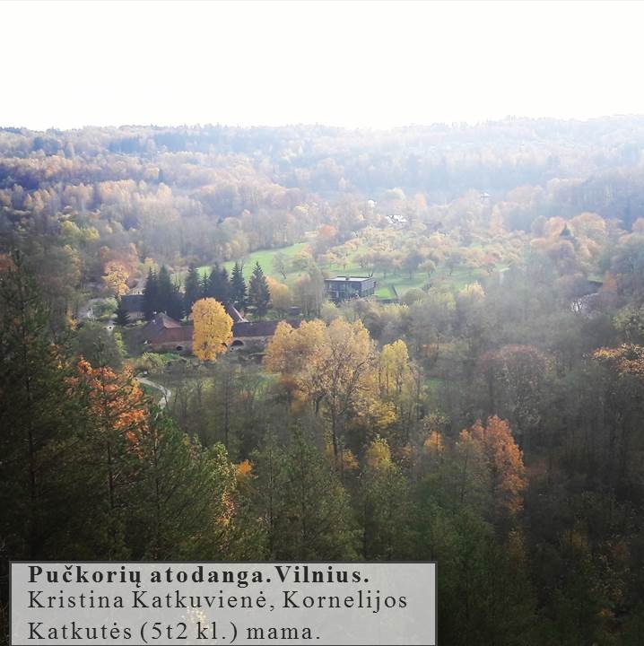 Skaidrė17