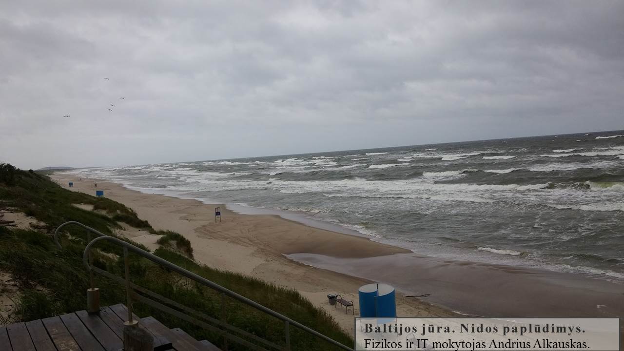 Skaidrė175
