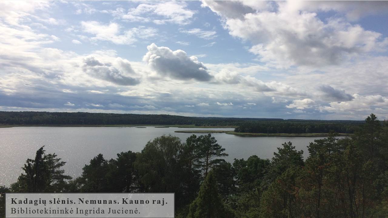 Skaidrė184