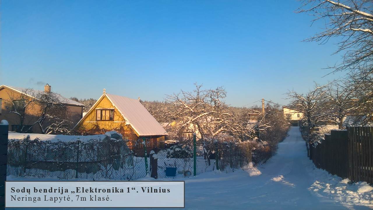 Skaidrė19