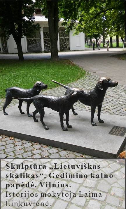 Skaidrė193