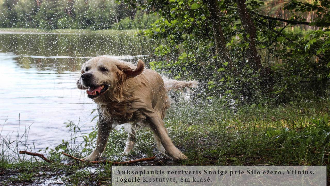 Skaidrė2
