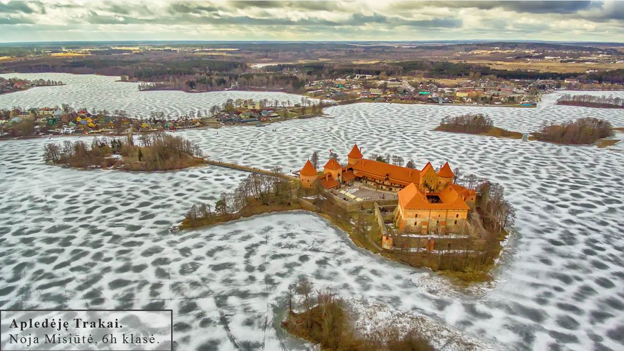 Skaidrė3