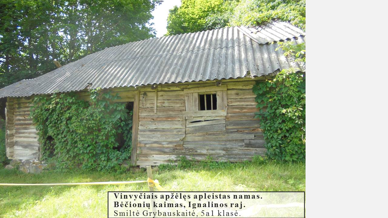 Skaidrė30