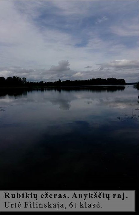 Skaidrė41