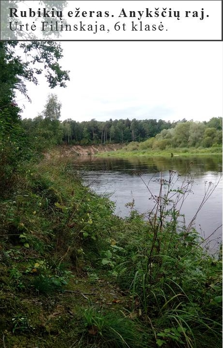 Skaidrė43