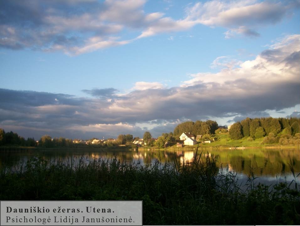 Skaidrė49