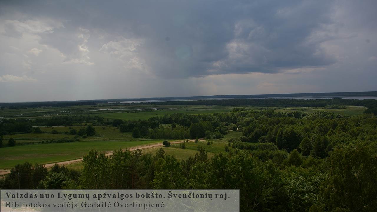 Skaidrė61