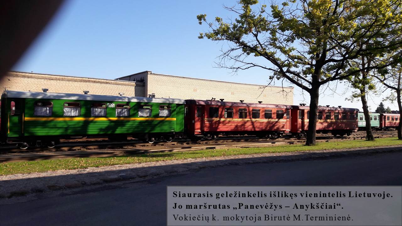 Skaidrė7