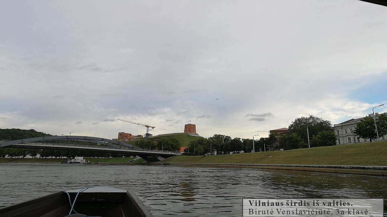 Skaidrė9