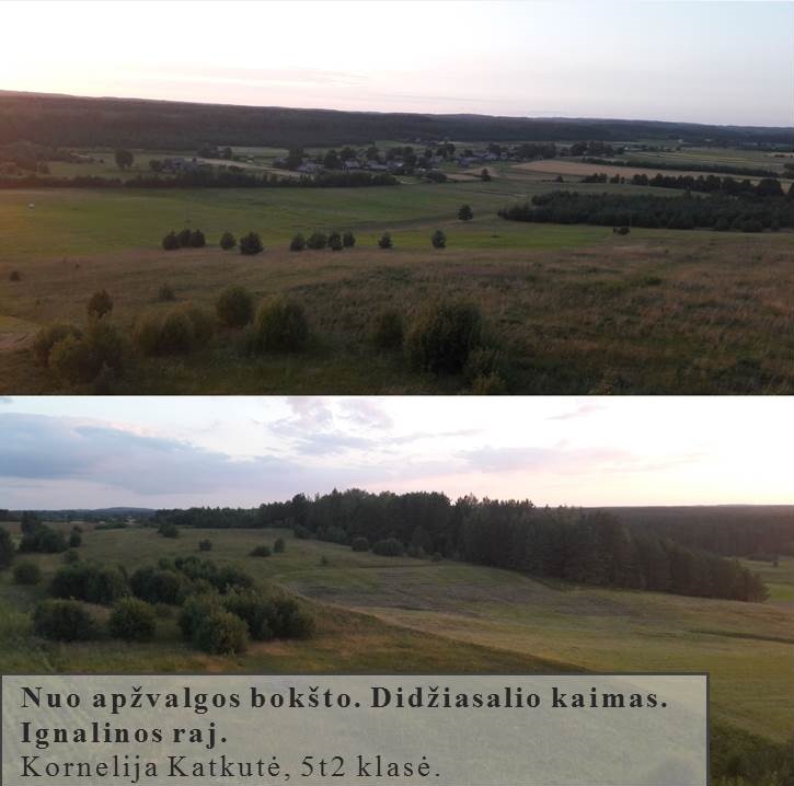 Skaidrė98