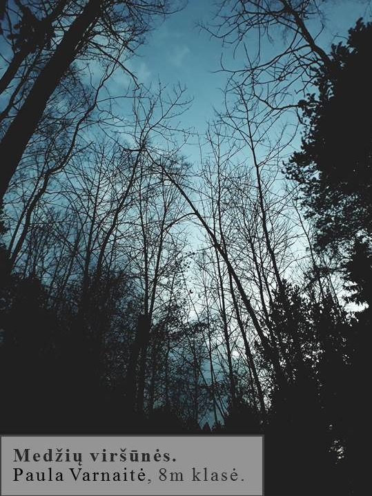 Skaidrė99