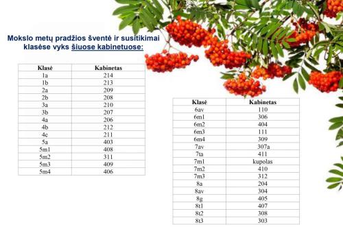 Kabinetu-paskirstymas page-0001